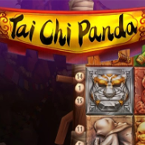 Tai Chi Panda