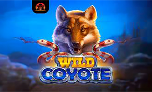 Wild Coyote