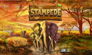 Stampede