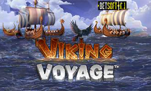 Viking Voyage