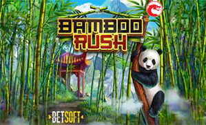 BAMBOO RUSH