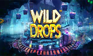 Wild Drops