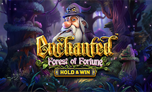 Enchanted Forest of Fortune