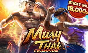 Muay Thai Champion