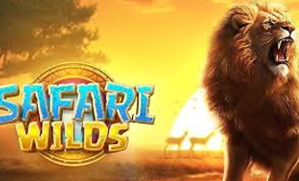 Safari Wilds