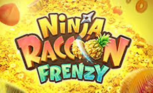 Ninja Racoon Frenzy