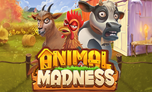 Animal Madness