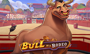 Bull in a Rodeo