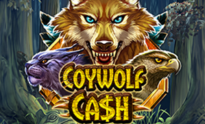 Coywolf Cash