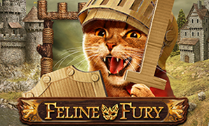 Feline Fury