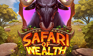 Safari of Wealth