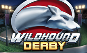 Wildhound Derby