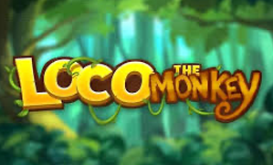 Loco the Monkey