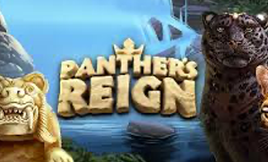 Panthers Reign