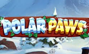 Polar Paws