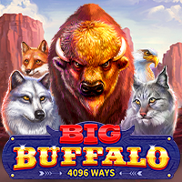 Big Buffalo