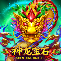 Shen Long Bao Shi