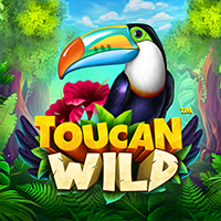 Toucan Wild