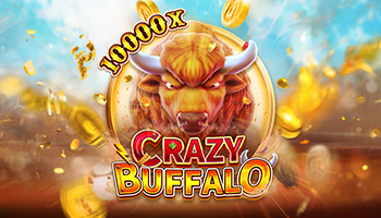 CRAZY BUFFALO