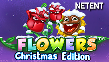 Flowers Christmas Edition