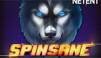 Spinsane