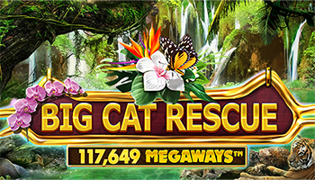 Big Cat Rescue Megaways