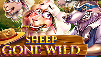 Sheep Gone Wild